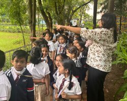 Std I July Activities